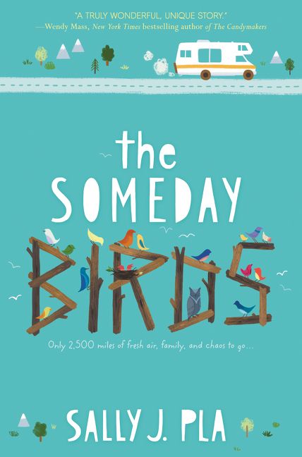 The Someday Birds Book Cover