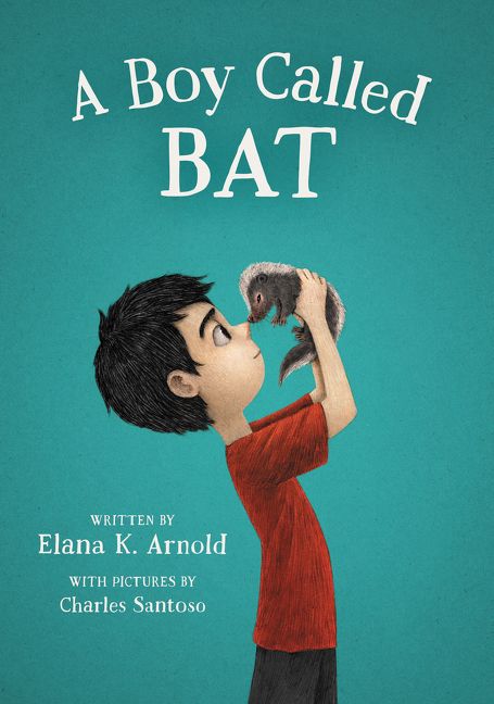 Image result for a boy called bat