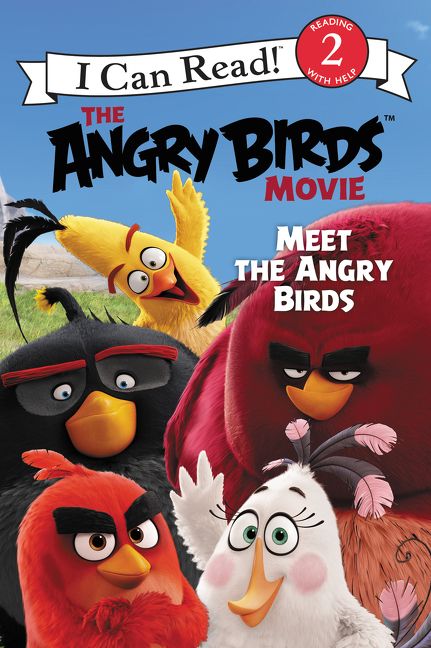 The Angry Birds Movie: Meet the Angry Birds Book Cover