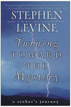 Turning Toward the Mystery Paperback  by Stephen Levine