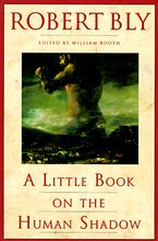 A Little Book on the Human Shadow Paperback  by Robert Bly