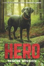 Hero: Rescue Mission Paperback  by Jennifer Li Shotz