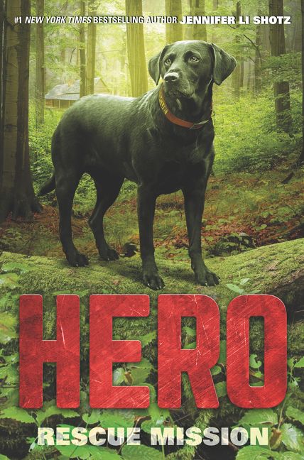 Hero: Rescue Mission - Jennifer Li Shotz - Hardcover