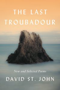 the-last-troubadour