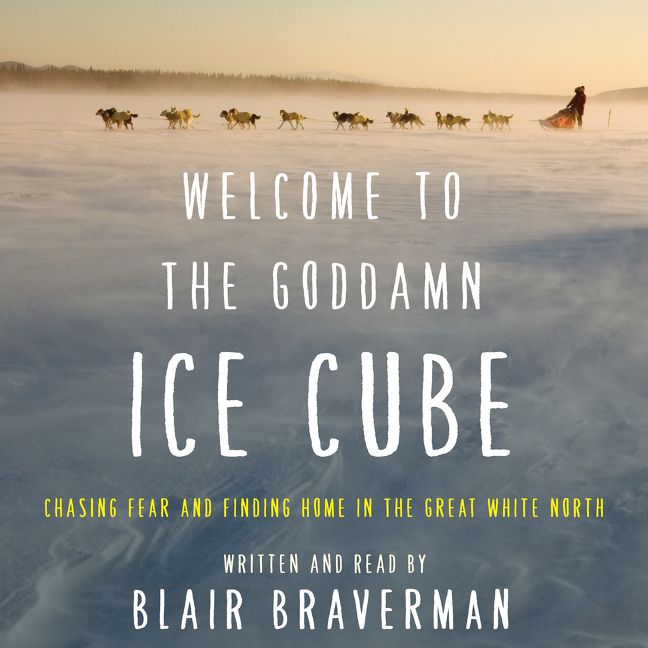 Welcome to the Goddamn Ice Cube Book Cover