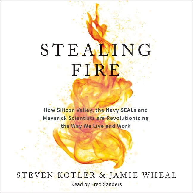 Book cover image: Stealing Fire: How Silicon Valley, the Navy SEALs, and Maverick Scientists Are Revolutionizing the Way We Live and Work | National Bestseller