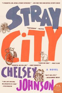 stray-city
