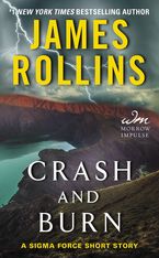 Crash and Burn eBook  by James Rollins
