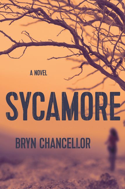 Sycamore Intl