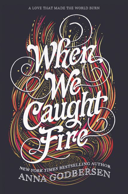 When We Caught Fire Book Cover