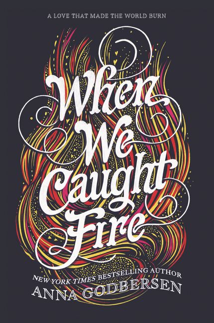 When We Caught Fire Book Cover