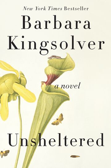 reviews of unsheltered by barbara kingsolver