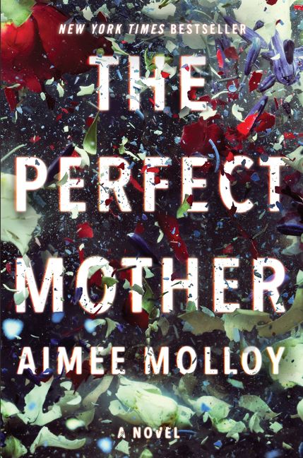 The Perfect Mother Book Cover