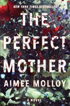 The Perfect Mother Hardcover  by Aimee Molloy