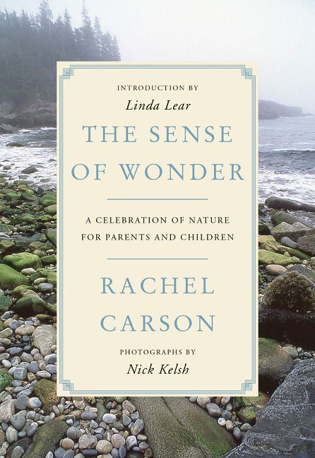 The Sense of Wonder Book Cover