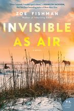 Invisible as Air Paperback  by Zoe Fishman