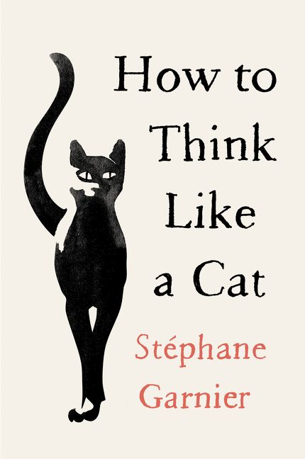 Book cover image: How to Think Like a Cat | International Bestseller