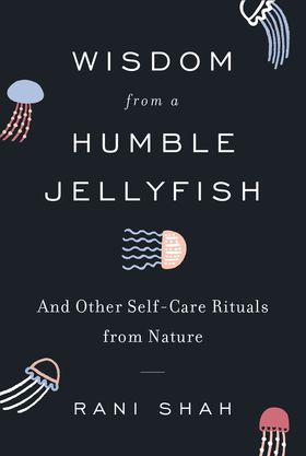 Wisdom from a Humble Jellyfish