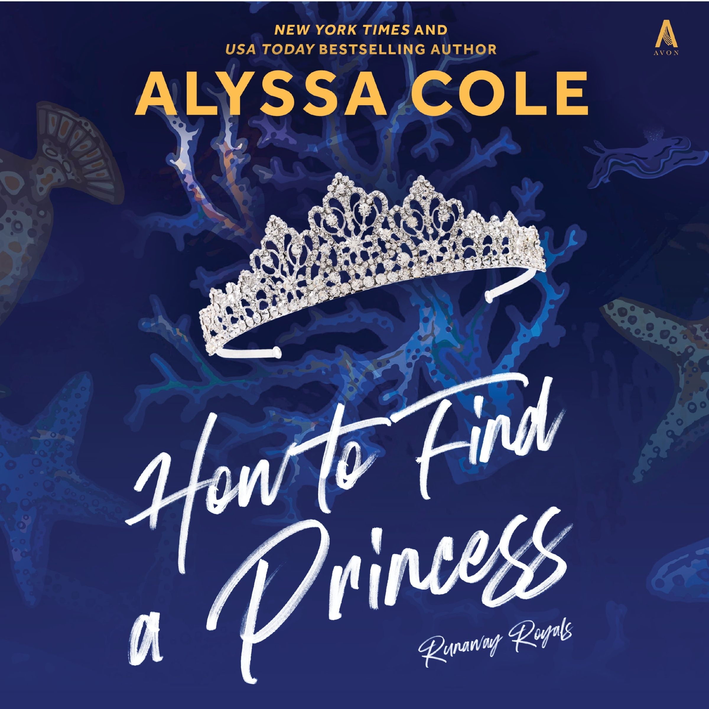 How to Find a Princess Book Cover