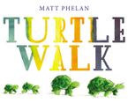 Turtle Walk Hardcover  by Matt Phelan