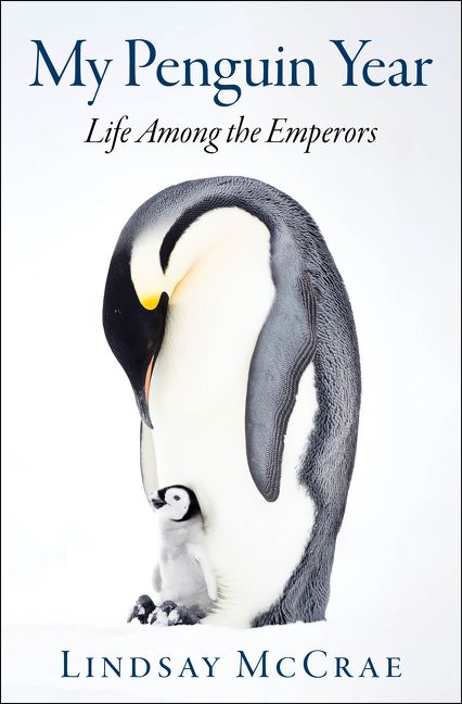 My Penguin Year Lindsay Mccrae Hardcover