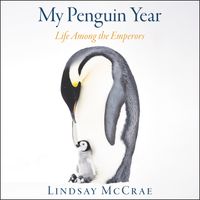 my-penguin-year
