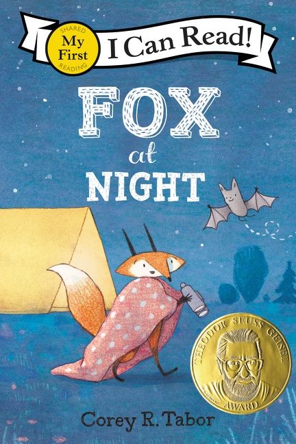 fox-at-night