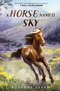 a-horse-named-sky