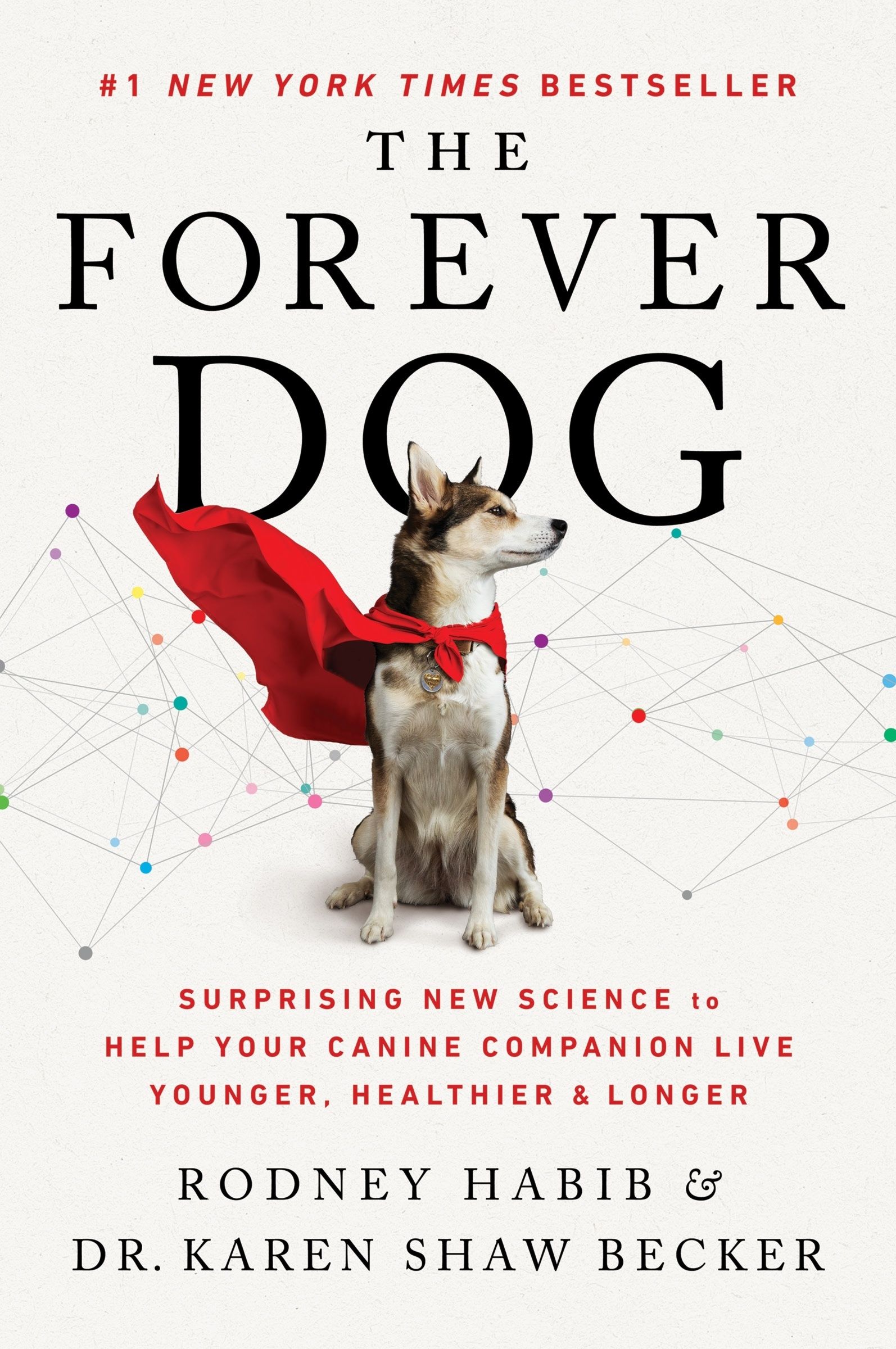 The Forever Dog Book Cover