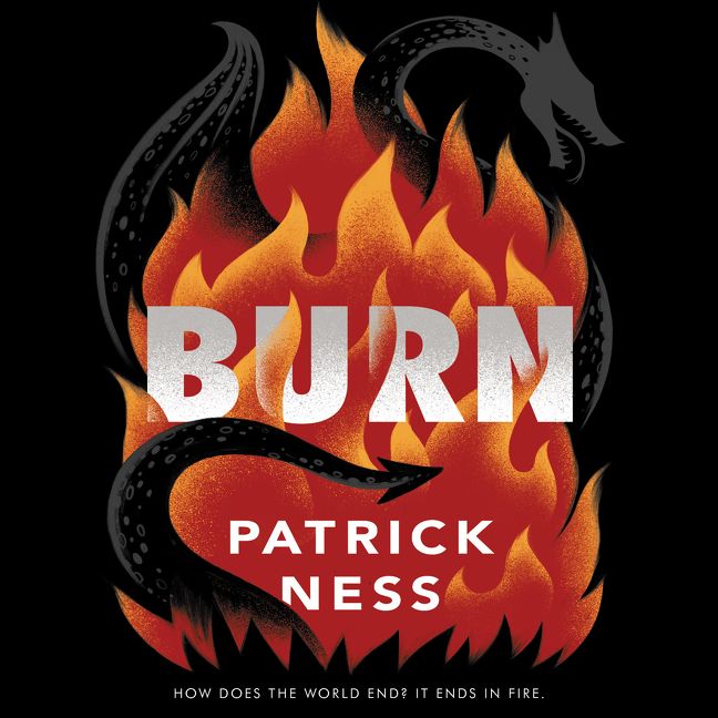 Burn Book Cover