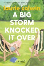 A Big Storm Knocked It Over Paperback  by Laurie Colwin