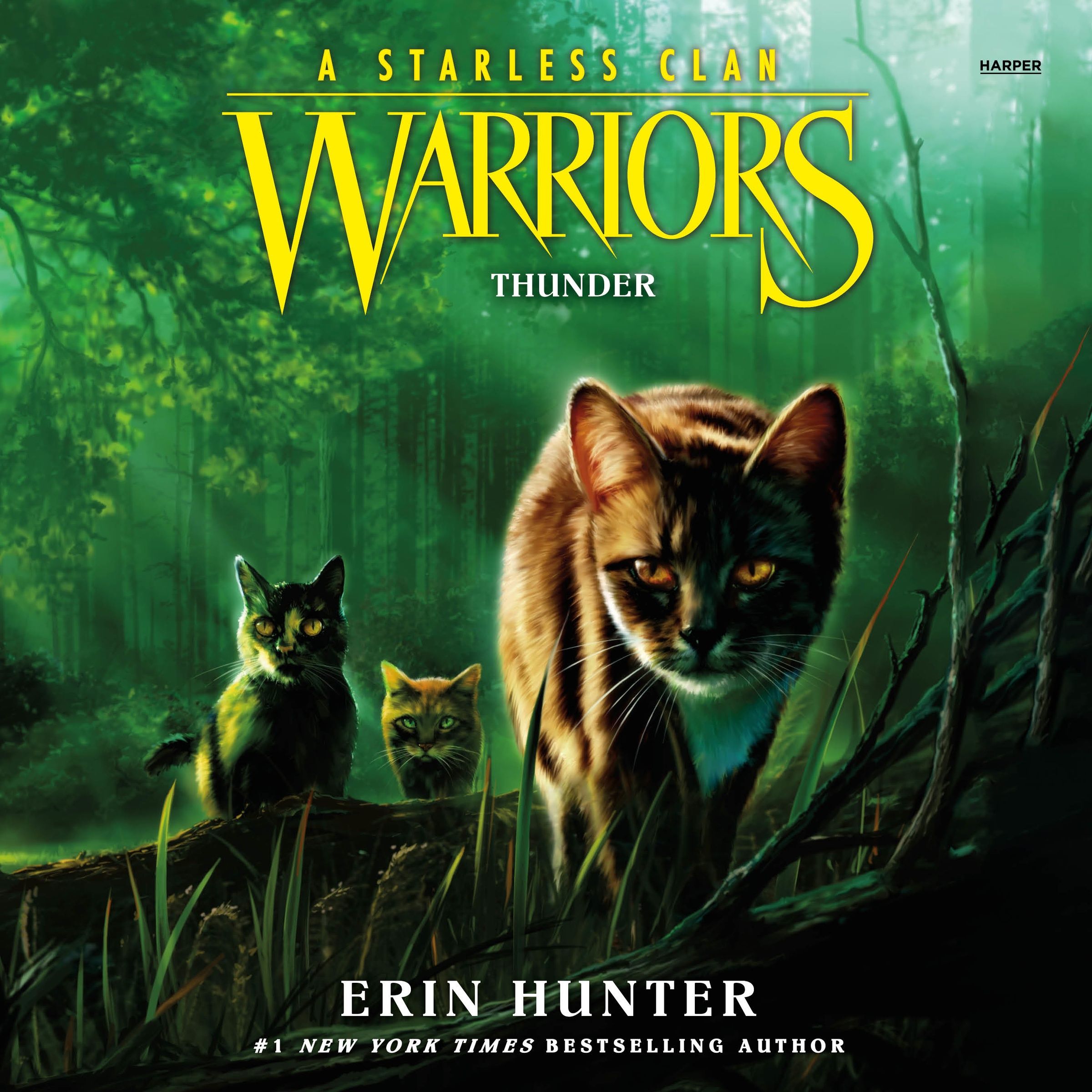 Warriors: A Starless Clan #4: Thunder
