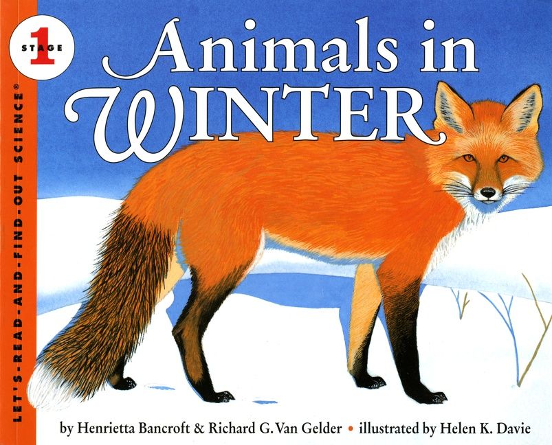 Animals in Winter Book Cover