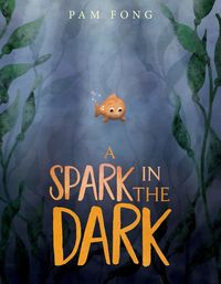a-spark-in-the-dark