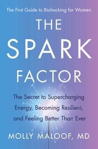 the-spark-factor