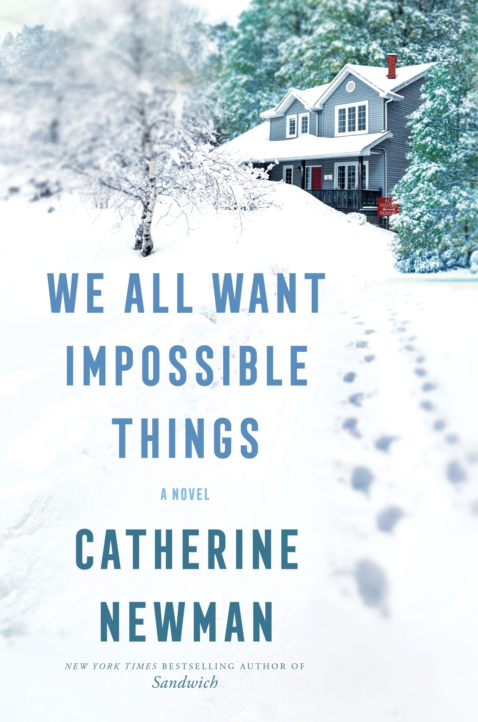 We All Want Impossible Things Book Cover
