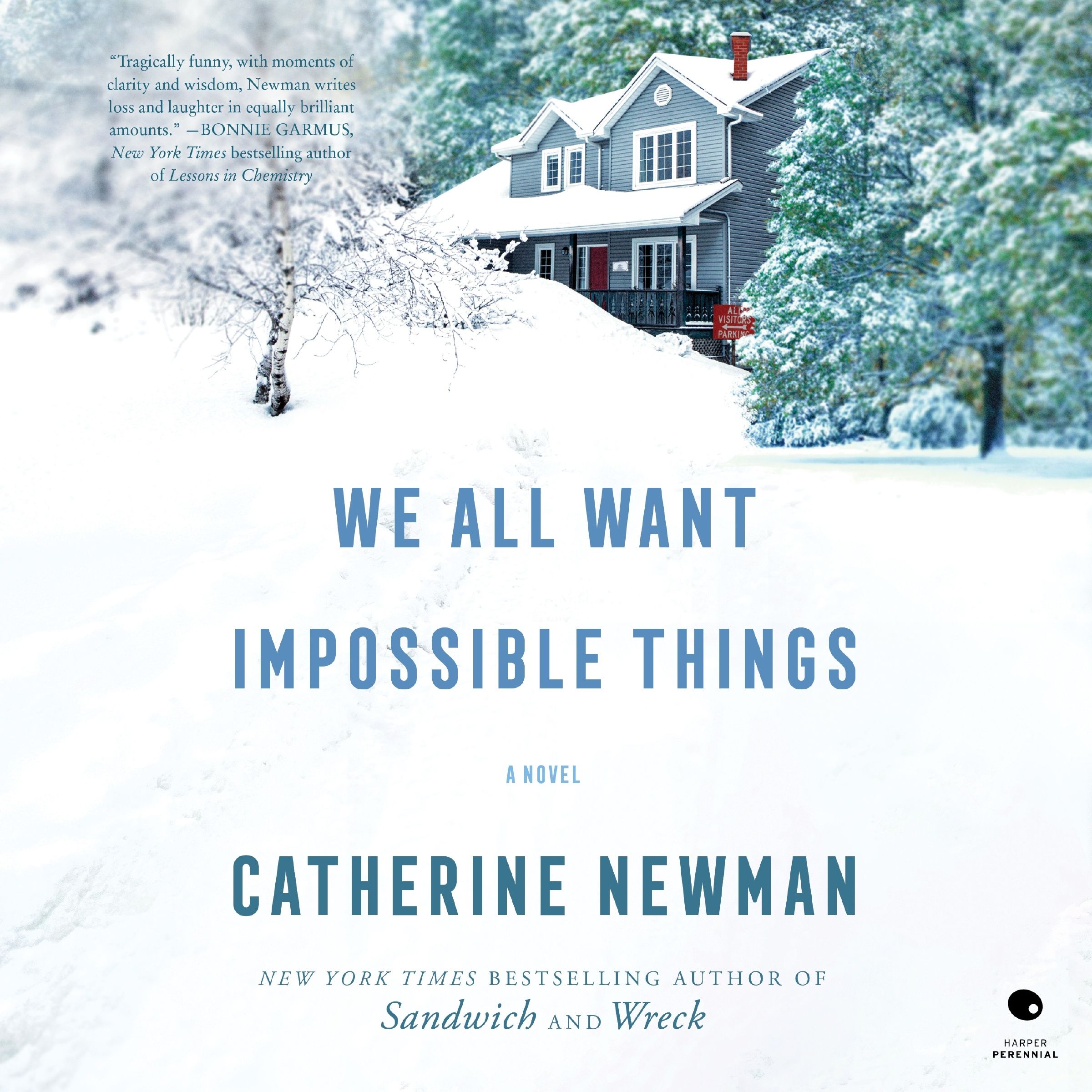 We All Want Impossible Things Book Cover
