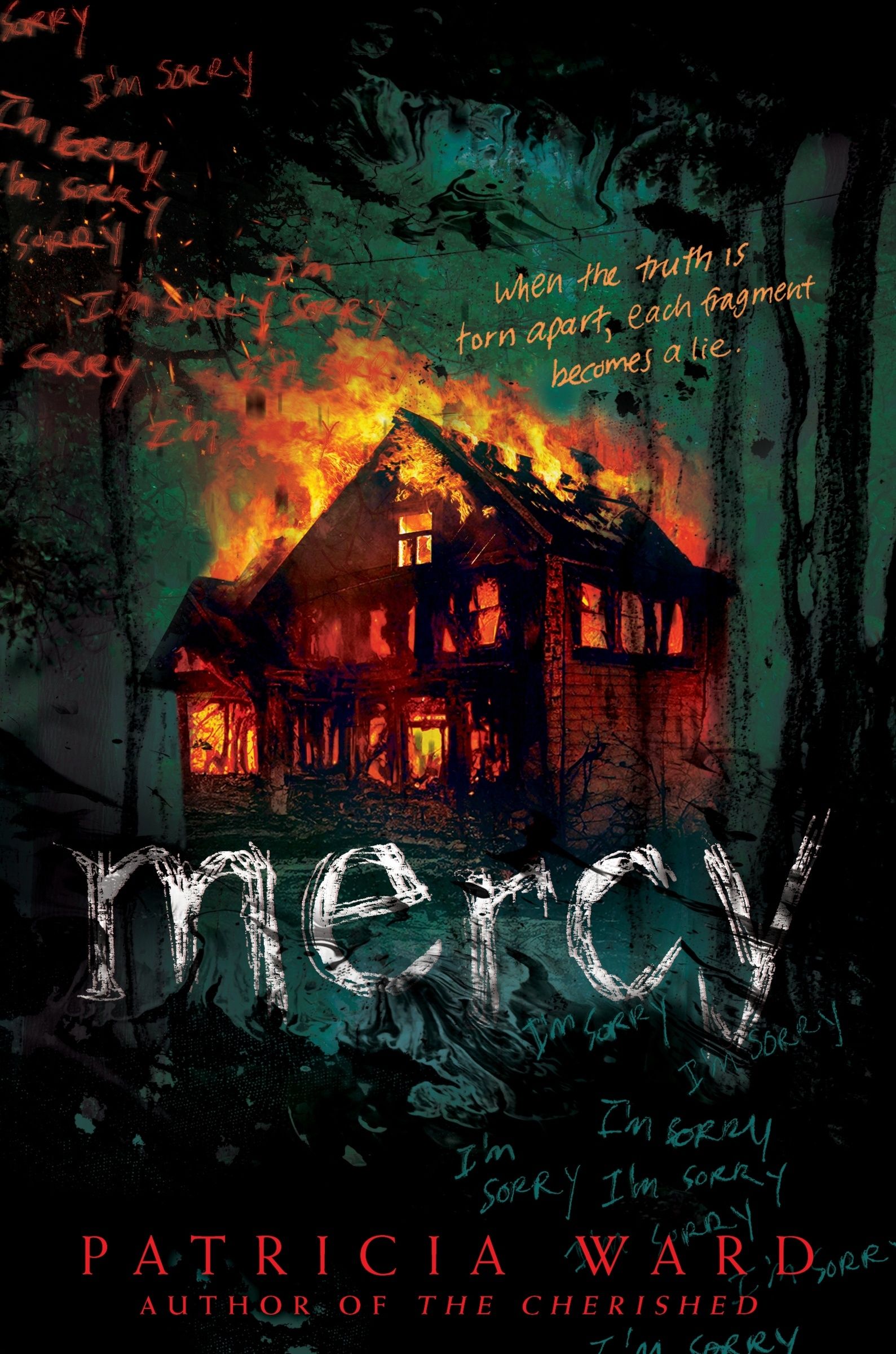Mercy Book Cover
