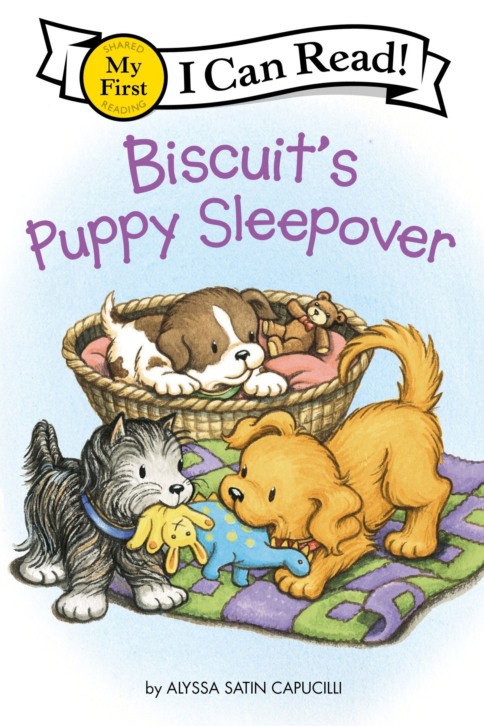 biscuits-puppy-sleepover