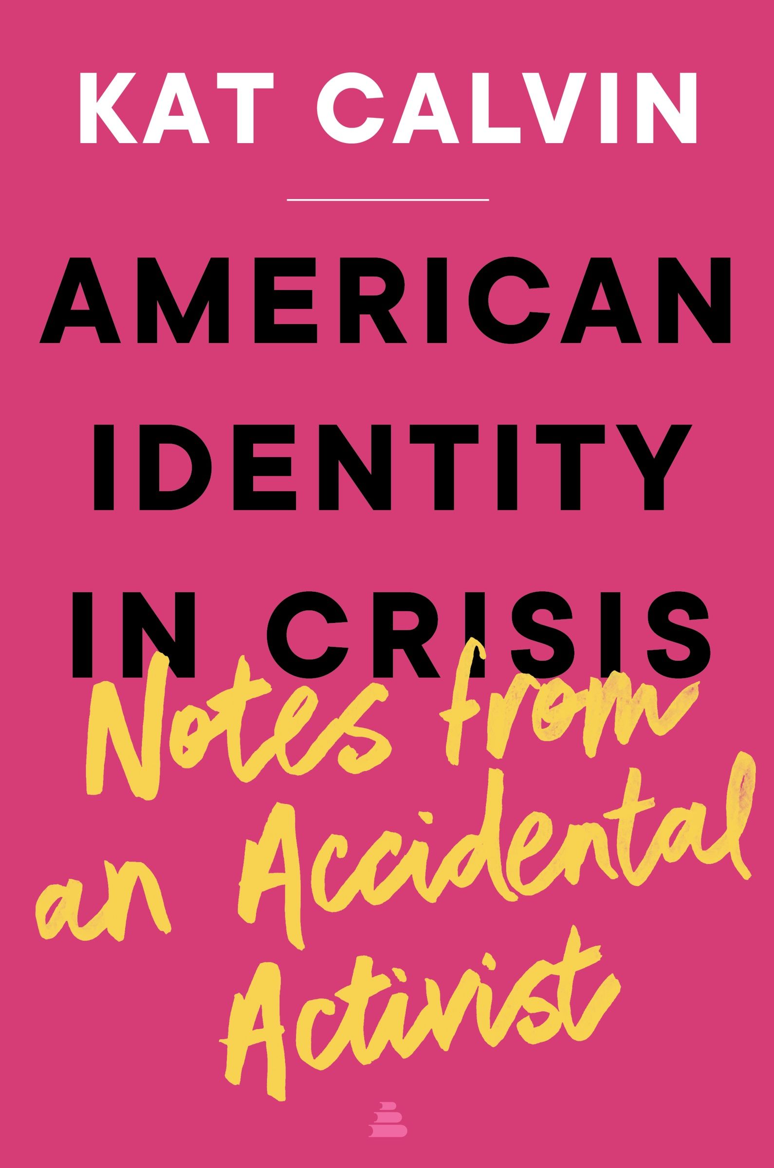 american-identity-in-crisis-notes-from-an-accidental-activist
