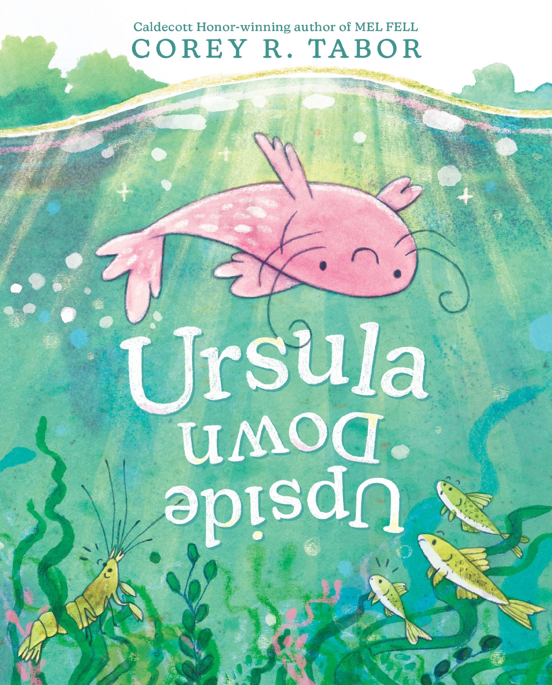 Ursula Upside Down, Hardback, Corey R. Tabor - Image 5