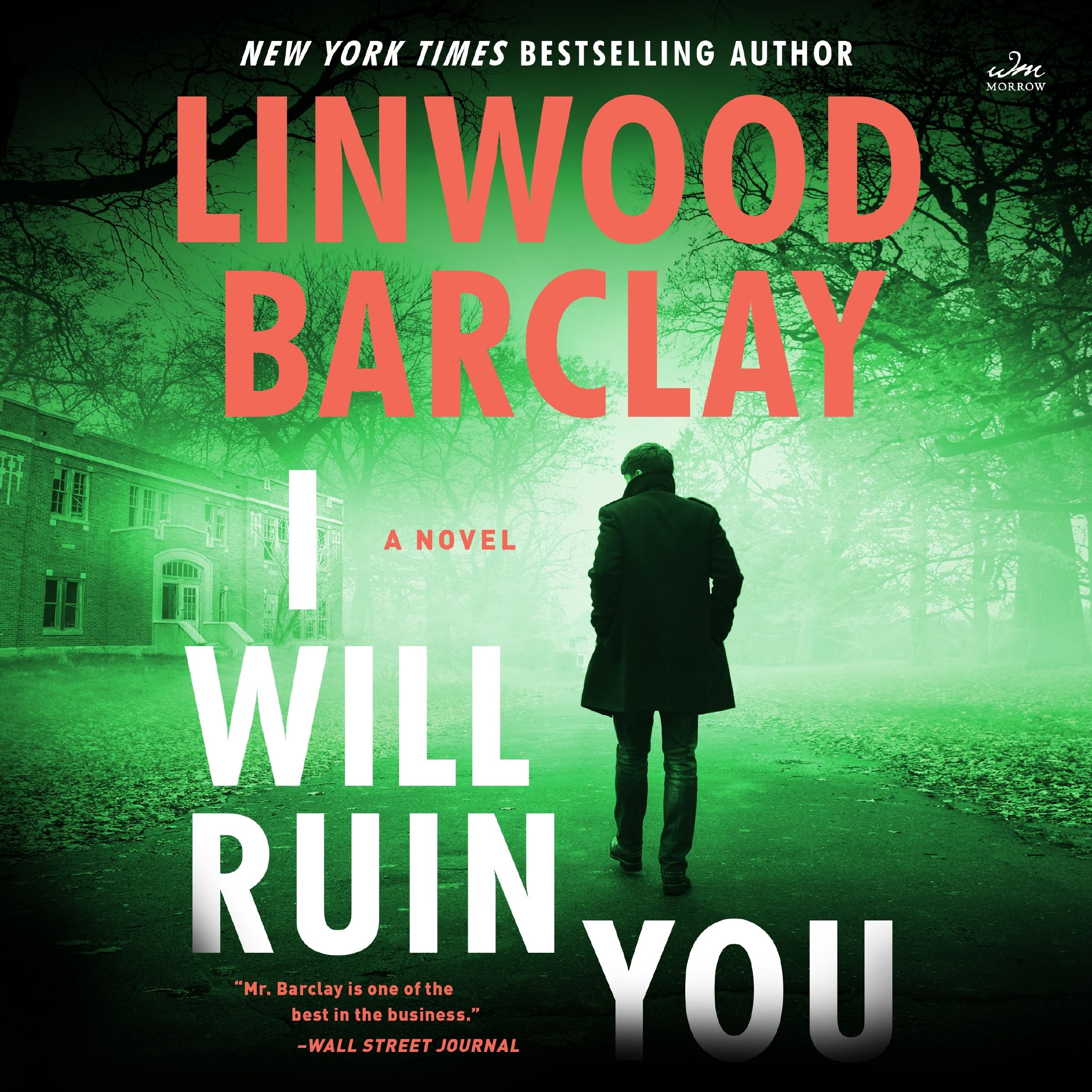 I Will Ruin You Book Cover