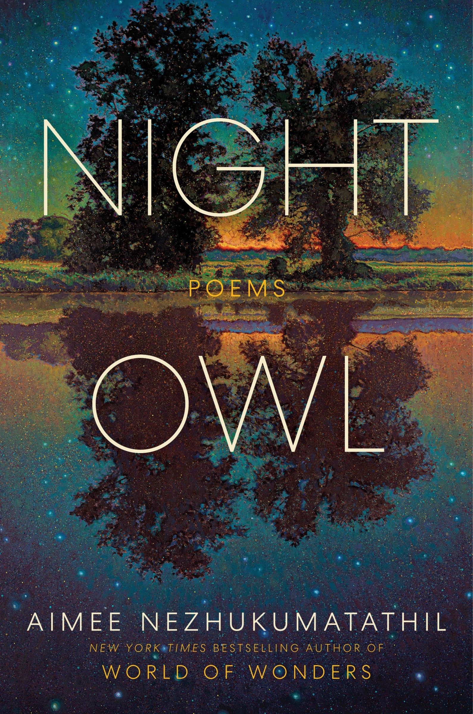 Night Owl - Book