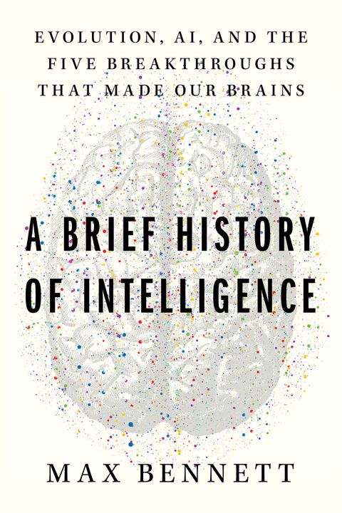 Cover of A brief History of Intelligence