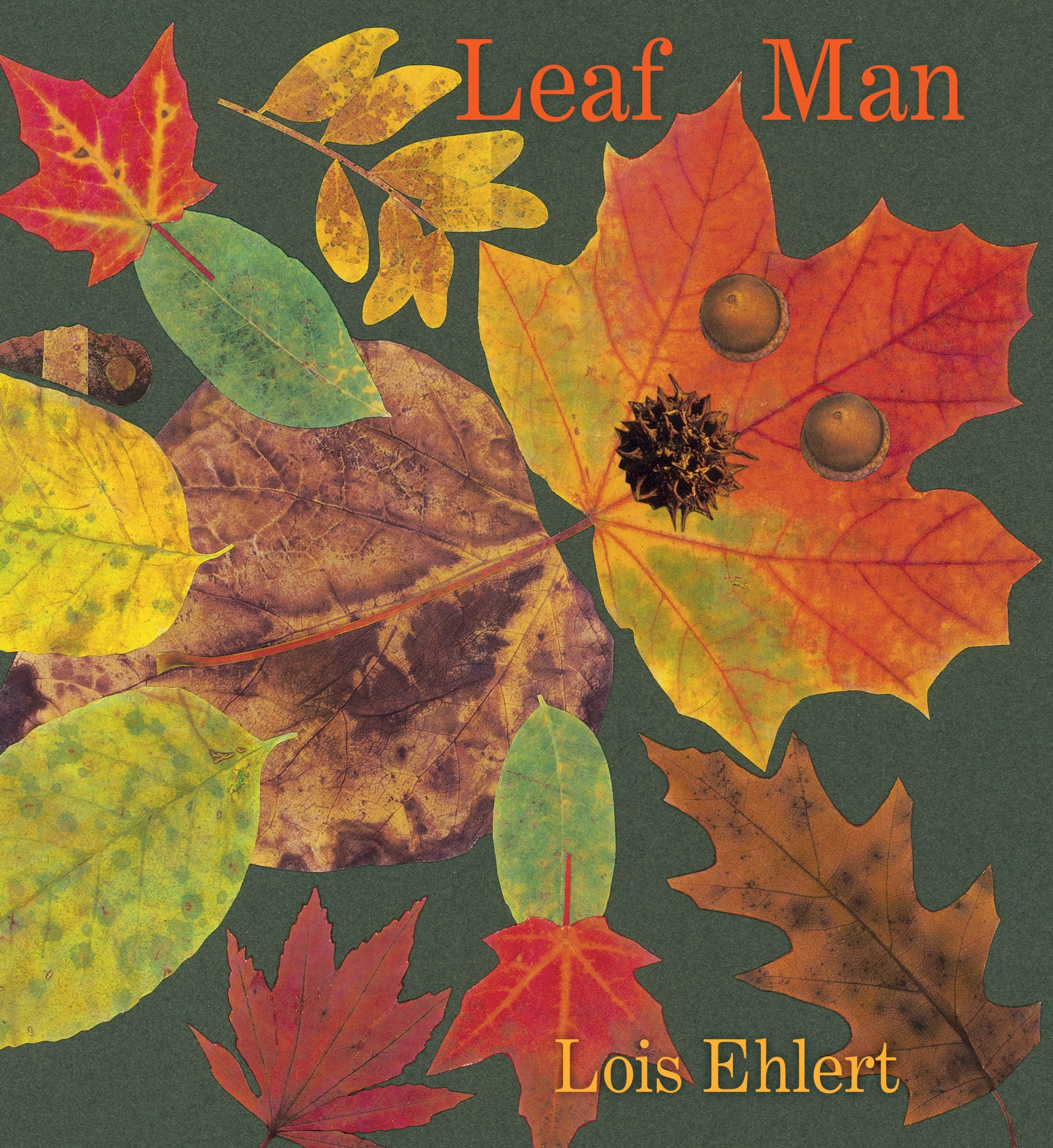Leaf Man: A Caldecott Honor-Winning Picture Book by Lois Ehlert | HB | 2023 - Image 8