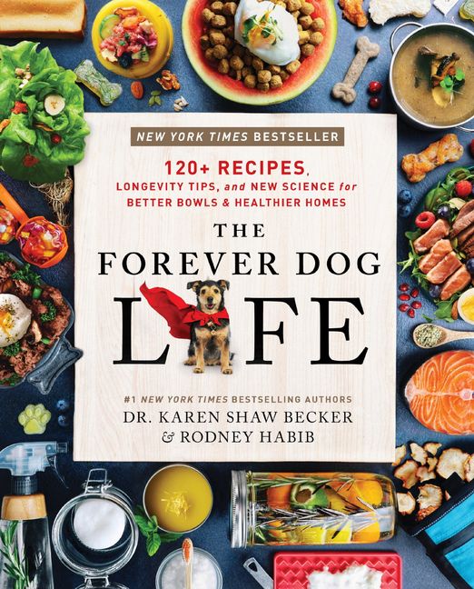 The Forever Dog Life Rodney Habib Hardcover