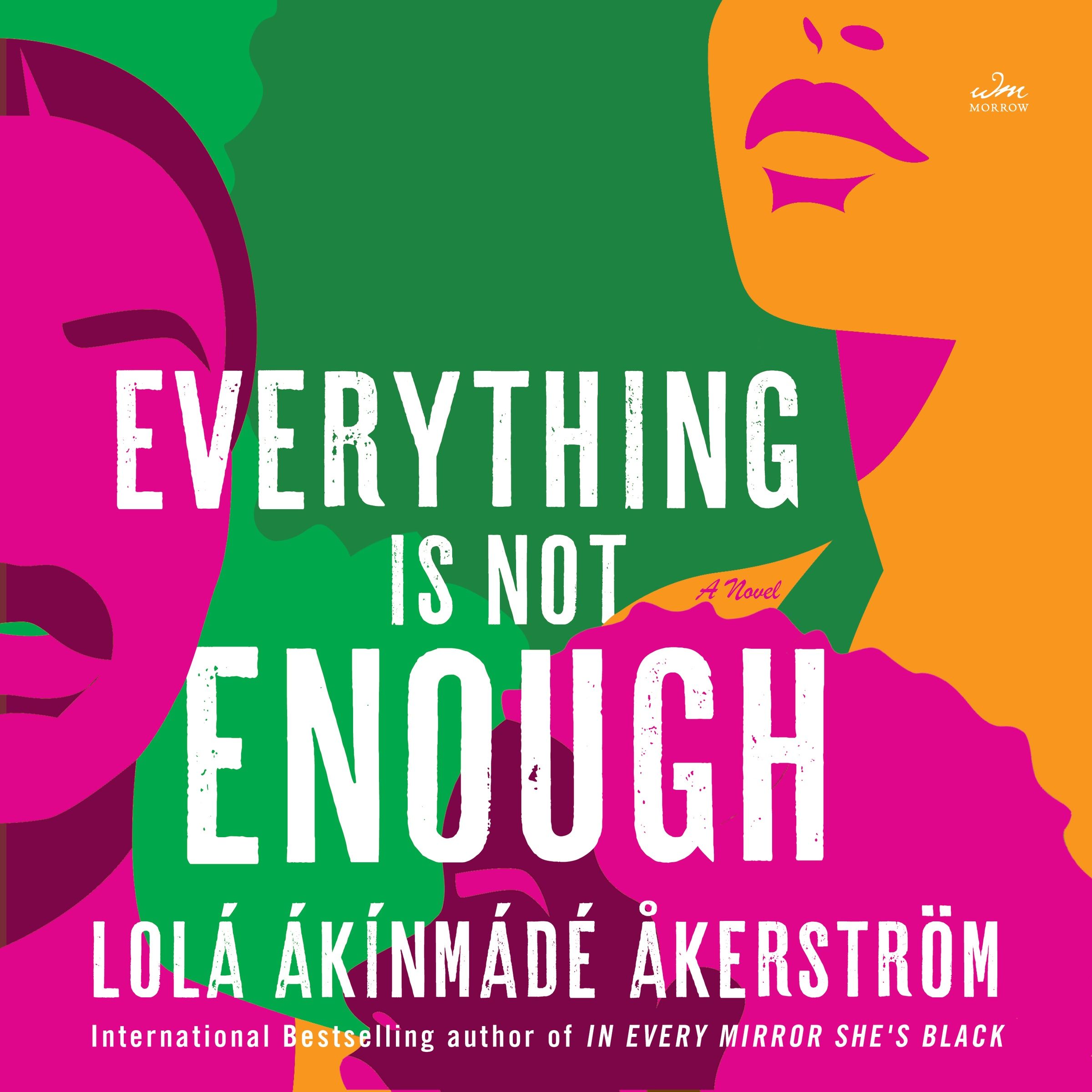 Everything Is Not Enough Book Cover
