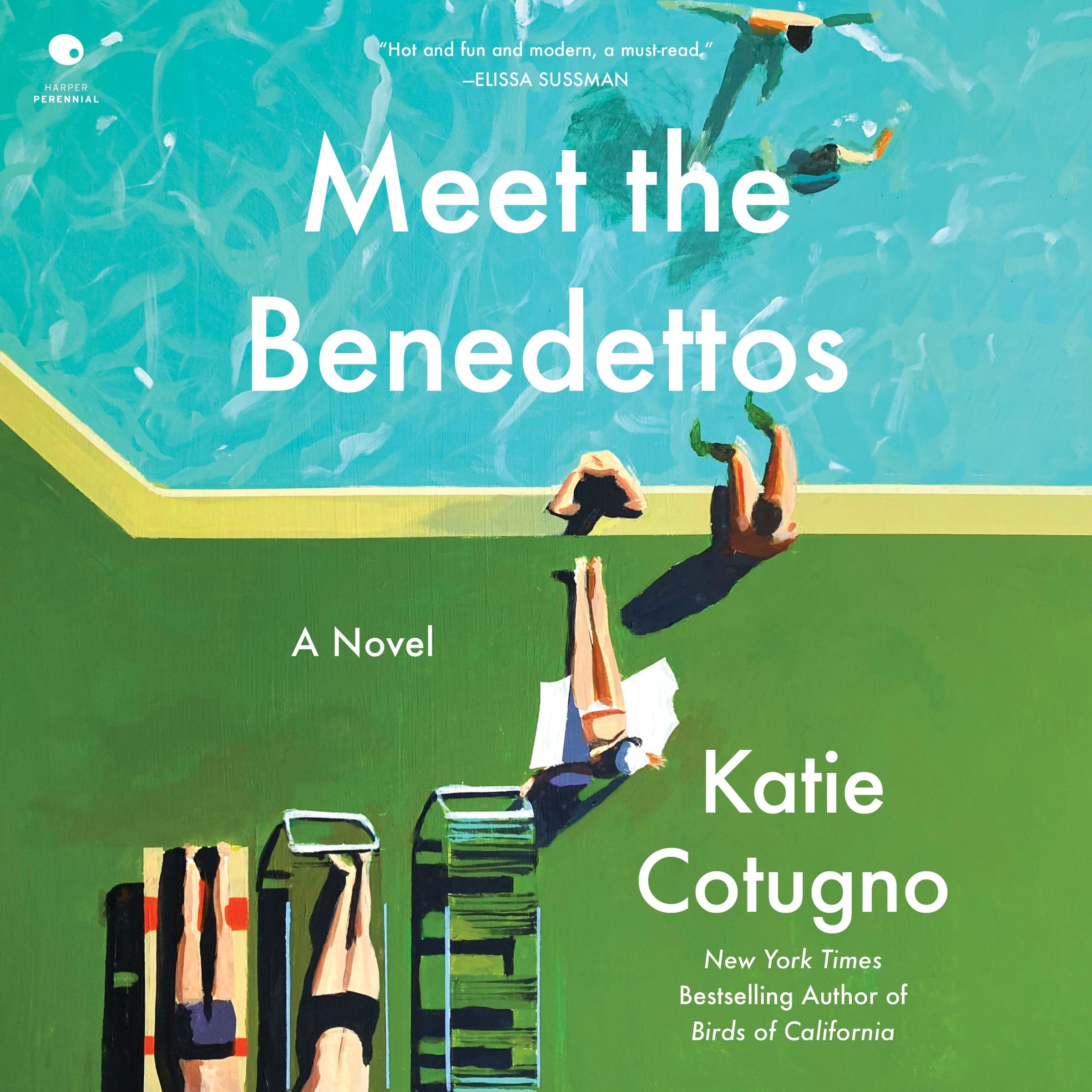 Meet the Benedettos Book Cover