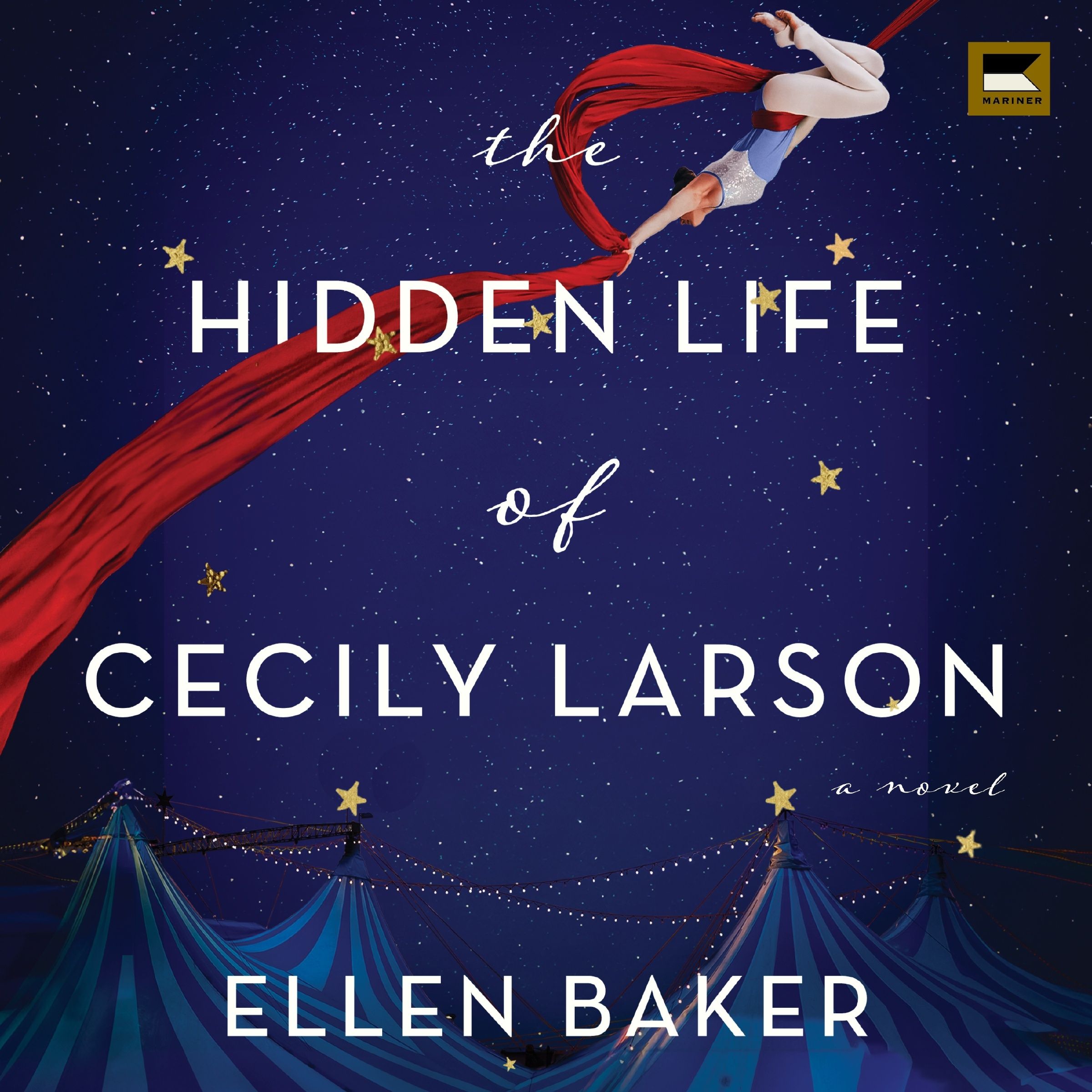 The Hidden Life of Cecily Larson Book Cover