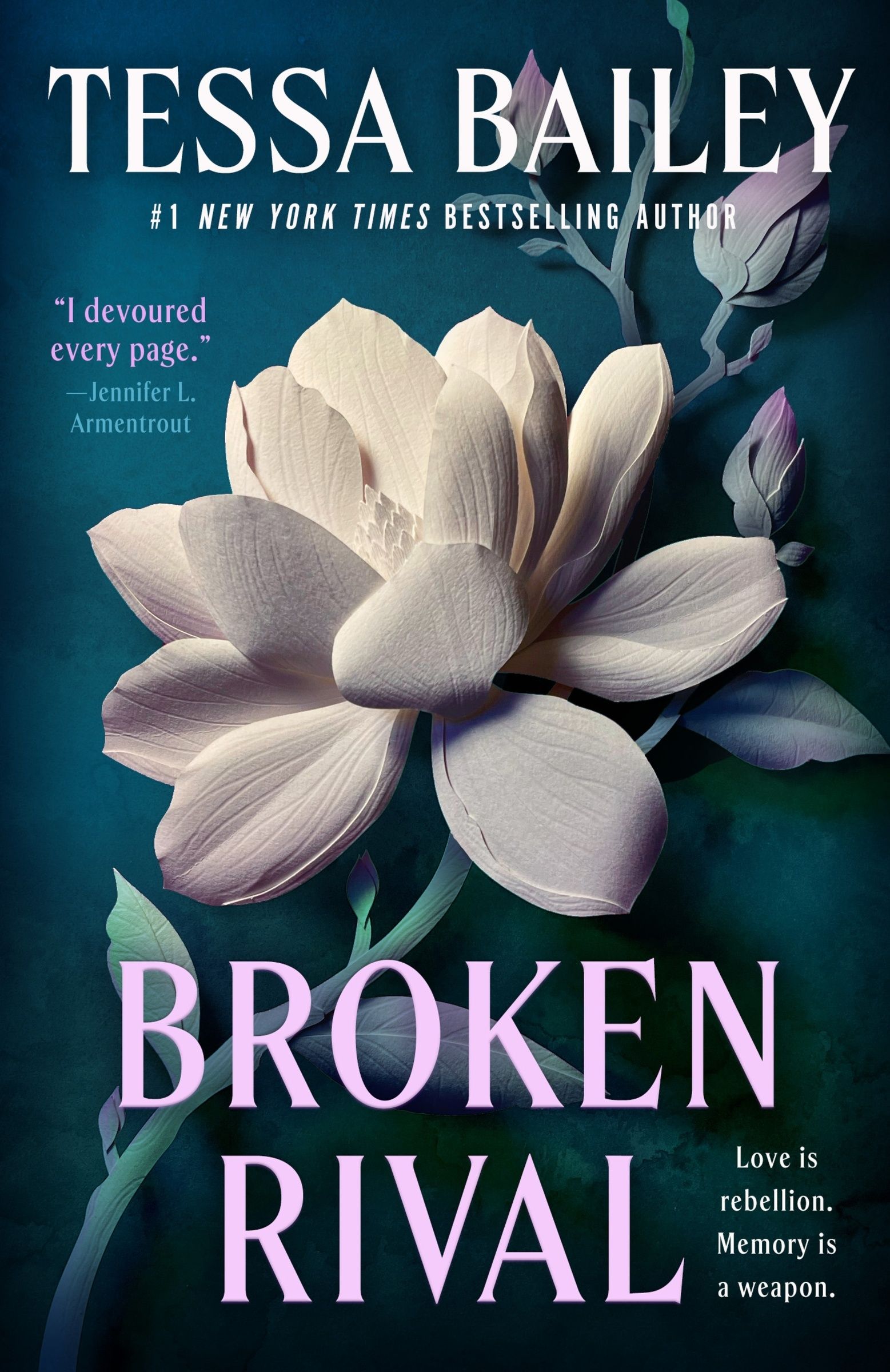 Broken Rival Book Cover